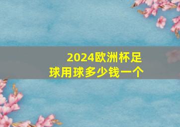 2024欧洲杯足球用球多少钱一个