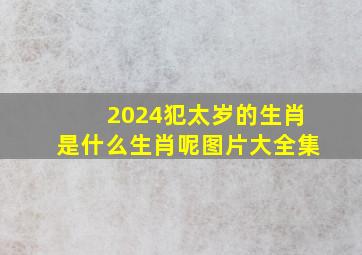 2024犯太岁的生肖是什么生肖呢图片大全集