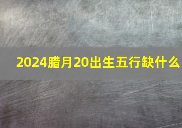 2024腊月20出生五行缺什么