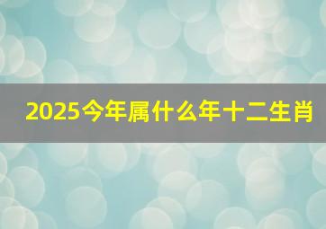 2025今年属什么年十二生肖