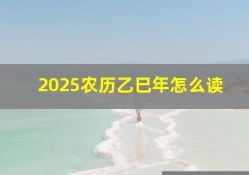 2025农历乙巳年怎么读