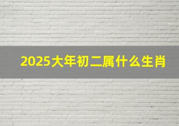 2025大年初二属什么生肖