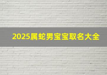 2025属蛇男宝宝取名大全