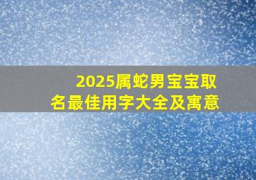 2025属蛇男宝宝取名最佳用字大全及寓意