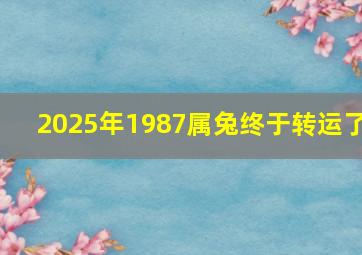 2025年1987属兔终于转运了