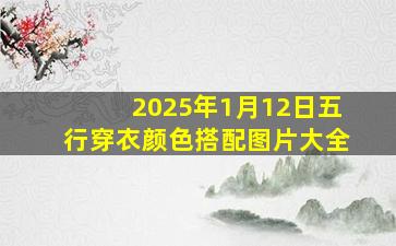 2025年1月12日五行穿衣颜色搭配图片大全