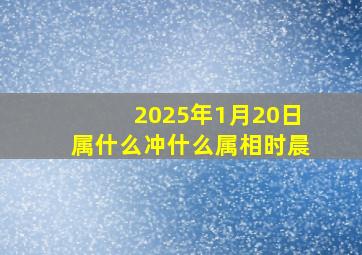 2025年1月20日属什么冲什么属相时晨