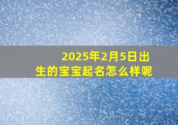 2025年2月5日出生的宝宝起名怎么样呢