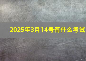 2025年3月14号有什么考试