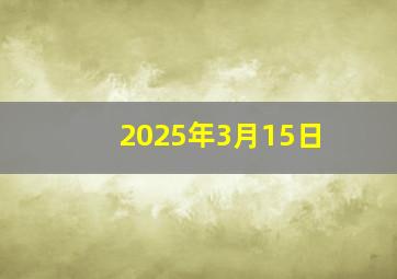 2025年3月15日