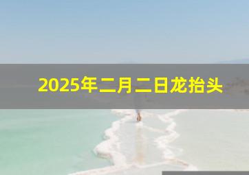 2025年二月二日龙抬头