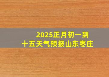 2025正月初一到十五天气预报山东枣庄