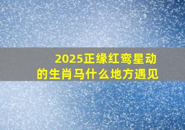 2025正缘红鸾星动的生肖马什么地方遇见