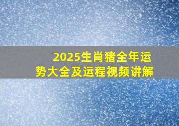 2025生肖猪全年运势大全及运程视频讲解