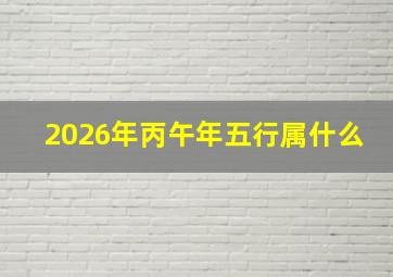 2026年丙午年五行属什么