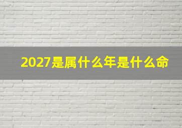 2027是属什么年是什么命