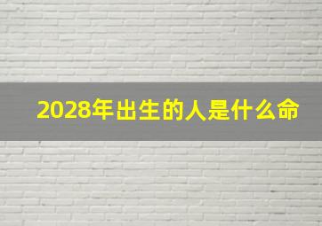 2028年出生的人是什么命