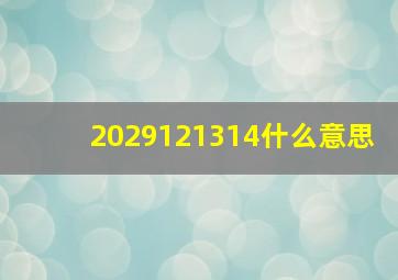 2029121314什么意思