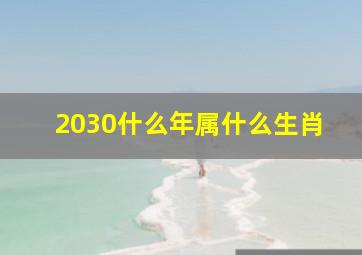 2030什么年属什么生肖