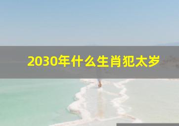 2030年什么生肖犯太岁