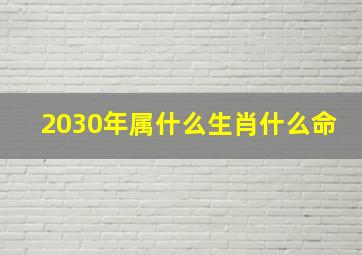 2030年属什么生肖什么命