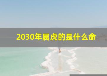 2030年属虎的是什么命