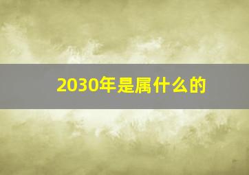 2030年是属什么的