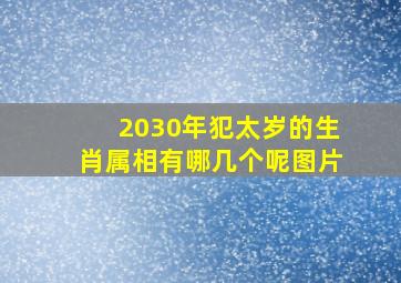 2030年犯太岁的生肖属相有哪几个呢图片