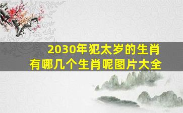 2030年犯太岁的生肖有哪几个生肖呢图片大全