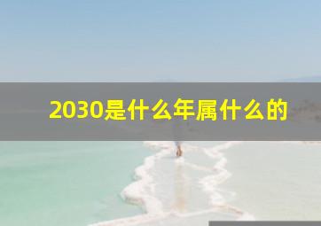 2030是什么年属什么的