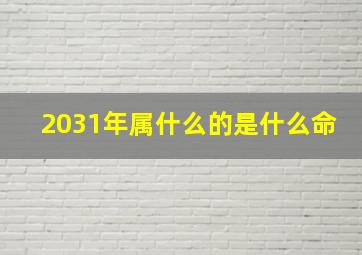 2031年属什么的是什么命