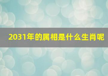 2031年的属相是什么生肖呢