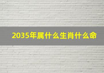 2035年属什么生肖什么命