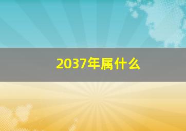 2037年属什么