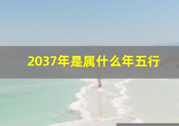 2037年是属什么年五行