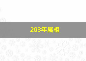 203年属相