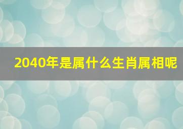 2040年是属什么生肖属相呢