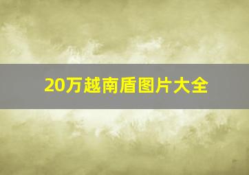 20万越南盾图片大全