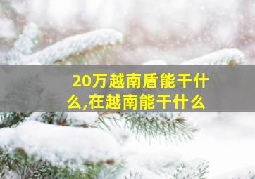 20万越南盾能干什么,在越南能干什么