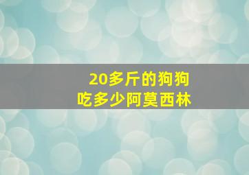 20多斤的狗狗吃多少阿莫西林