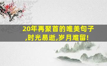 20年再聚首的唯美句子,时光易逝,岁月难留!