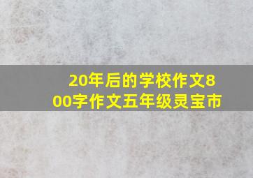 20年后的学校作文800字作文五年级灵宝市