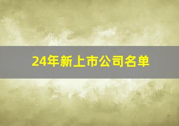 24年新上市公司名单