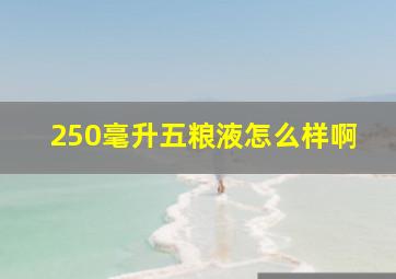 250毫升五粮液怎么样啊