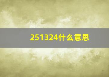 251324什么意思