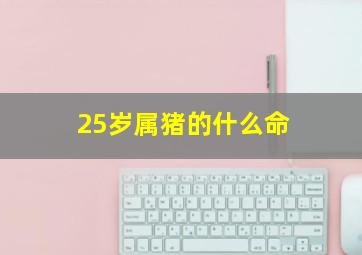 25岁属猪的什么命