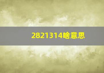 2821314啥意思