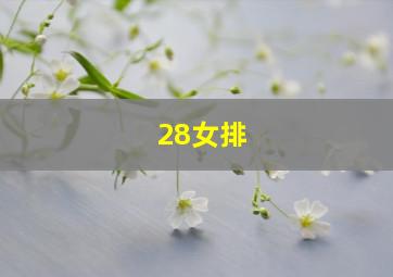 28女排