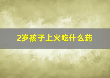 2岁孩子上火吃什么药