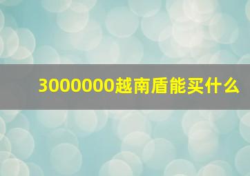 3000000越南盾能买什么